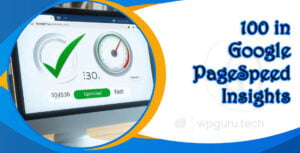 100 in Google PageSpeed Insights