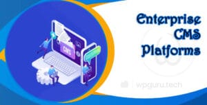 WP Guru - One Place For Your WordPress Services 31 Enterprise CMS Platforms